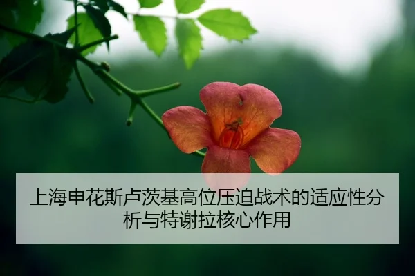shang-hai-shen-hua-si-lu-ci-ji-gao-wei-ya-po-zhan-shu-de-shi-ying-xing-fen-xi-yu-te-xie-la-he-xin-zuo-yong-2-905.jpg