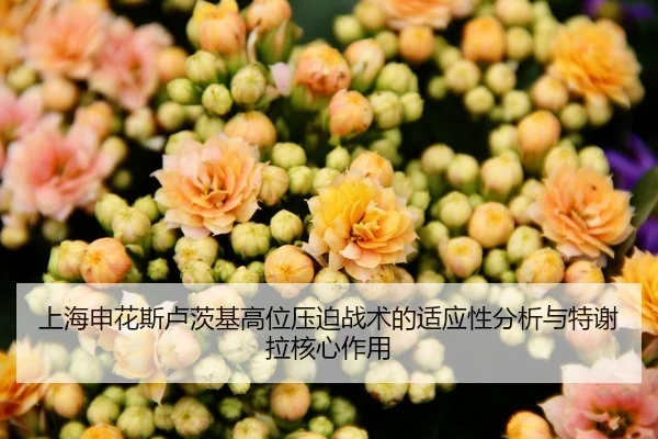 上海申花斯卢茨基高位压迫战术的适应性分析与特谢拉核心作用