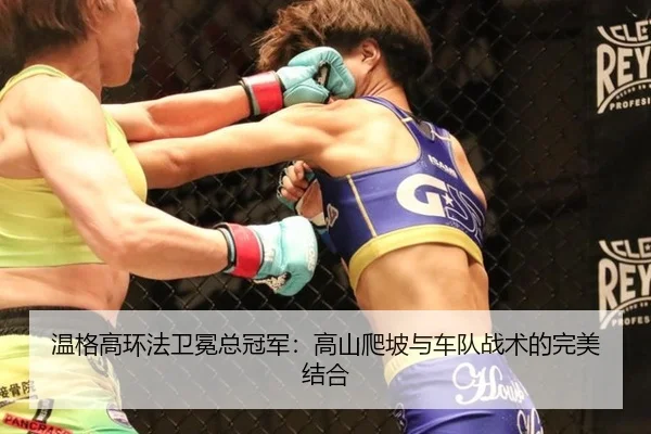 温格高环法卫冕总冠军：高山爬坡与车队战术的完美结合